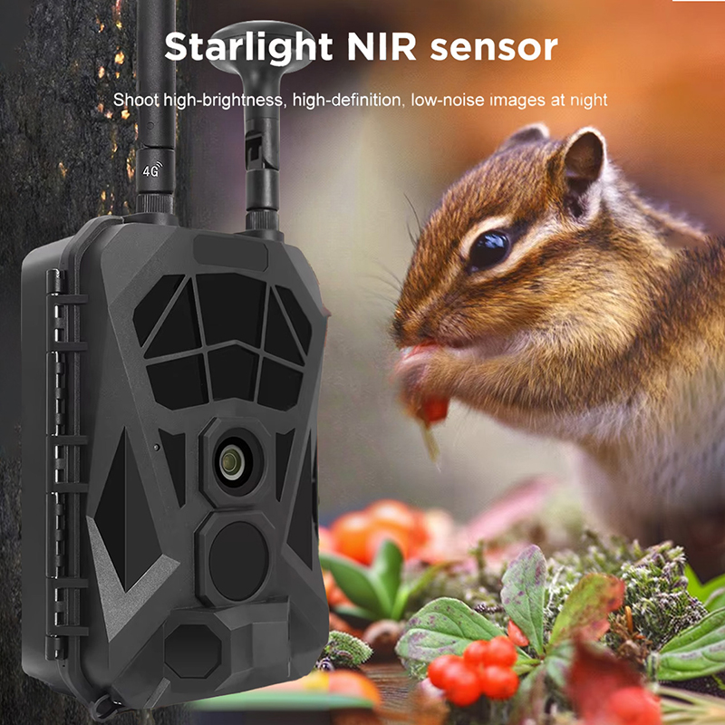 Outdoor Hunting Camera Wireless - Камера следа 4G GPS Беспроводная инфракрасная