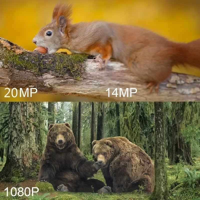 Уличная охотничья камера 1080P – обзор и цена Outdoor Hunting Camera Wireless