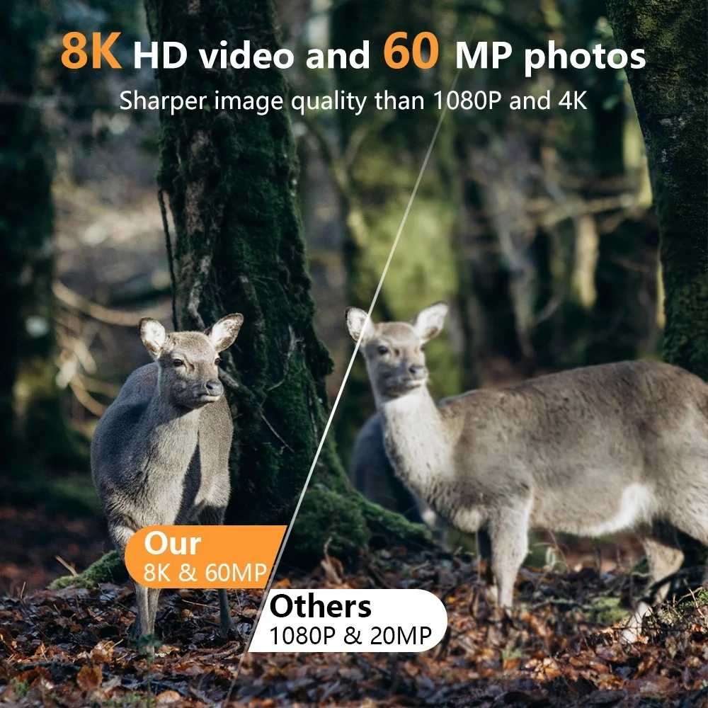 PR803W 8K WiFi Trail Camera -  – обзор и цена Trail Camera Infrared