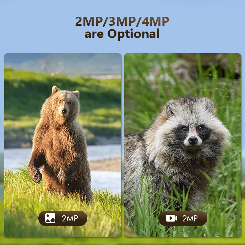 4G 4 МП наружная охотничья Тро – обзор и цена Trail Camera Infrared