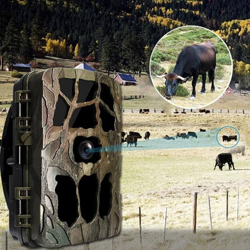 H982 IP66 Водонепроницаемая 4K – обзор и цена Trail Camera Infrared